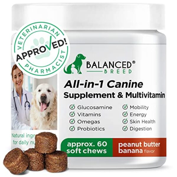 Balanced Breed Dog Vitamins Supplements Dog Probiotics Dogs Glucosamine Chondroitin Dogs Joint Support Supplement Dogs Dog Probiotics Yeast Itchy Skin Itchy Ears Dog Allergy Relief Dog Multivitamin