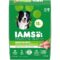 IAMS Adult Minichunks Small Kibble High Protein Dry Dog Food with Real Chicken